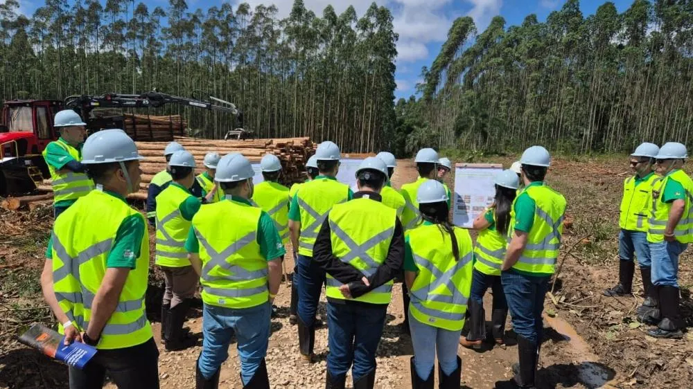 É o que afirma a gerente de operações florestais da Reflorestar Soluções Florestais, durante participação em GT Colheita e Logística Florestal, no RS GT Colheita e Logística Florestal foi realizado no Rio Grande do Sul