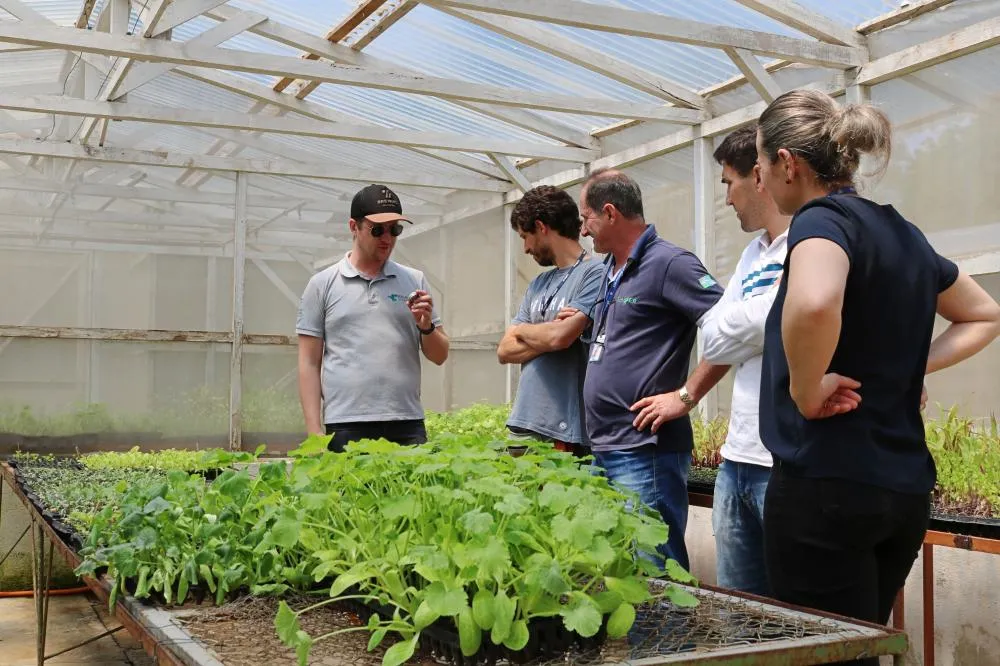 Realizado na Estação de Pesquisa em Agroecologia do IDR-Paraná em Pinhais,  o curso incluiu uma série de tópicos essenciais para a produção de mudas orgânicas de qualidade. Fotos IDR-Paraná.
