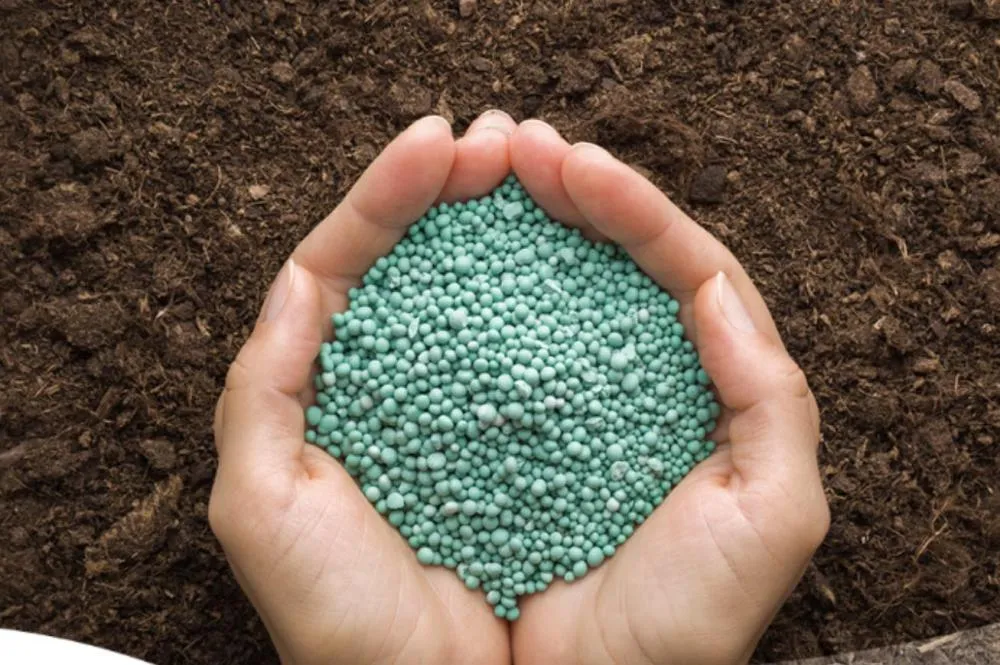 Dr. Adriel Ferreira da Fonseca destaca que o evento: “Boas Práticas para Uso Eficiente de Fertilizantes e Nutrição Sustentável de Plantas”, irá abordar a importância de práticas sustentáveis na aplicação de fertilizantes. Foto divulgação