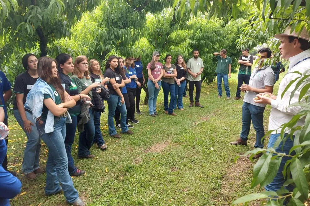 Com participação de mais de 700 alunos, IDR-PR promove Semana Frutifica Paraná Foto: IDR