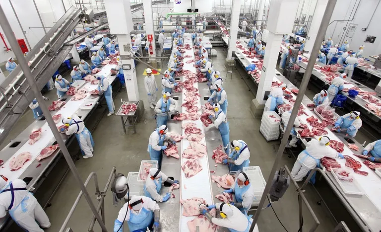 Mapa anuncia 19 novas habilitações de carnes brasileiras para África do Sul