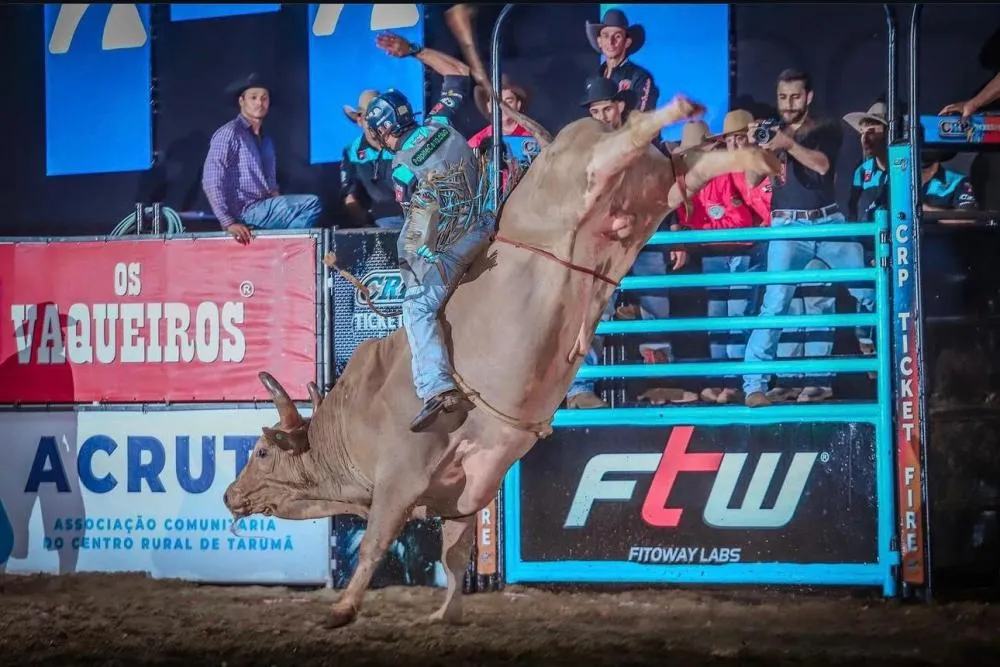 Touro Cobiçado - Foto - Rafael Rossi