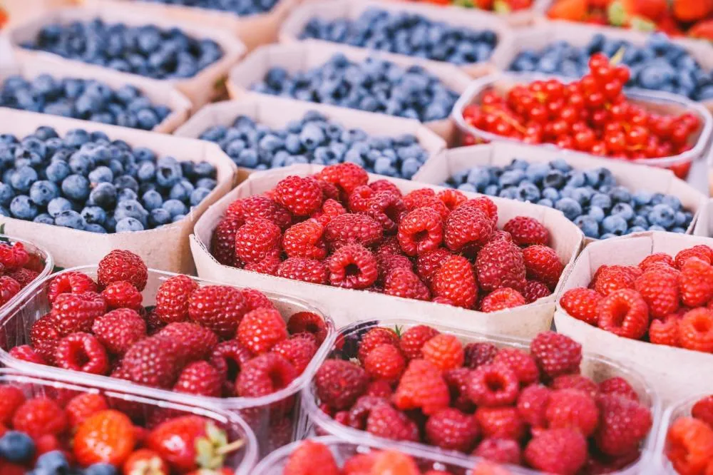 Profissionais devem ter formação na área agrícola e experiência comprovada em fruticultura. Inscrições vão até 6 de dezembro
