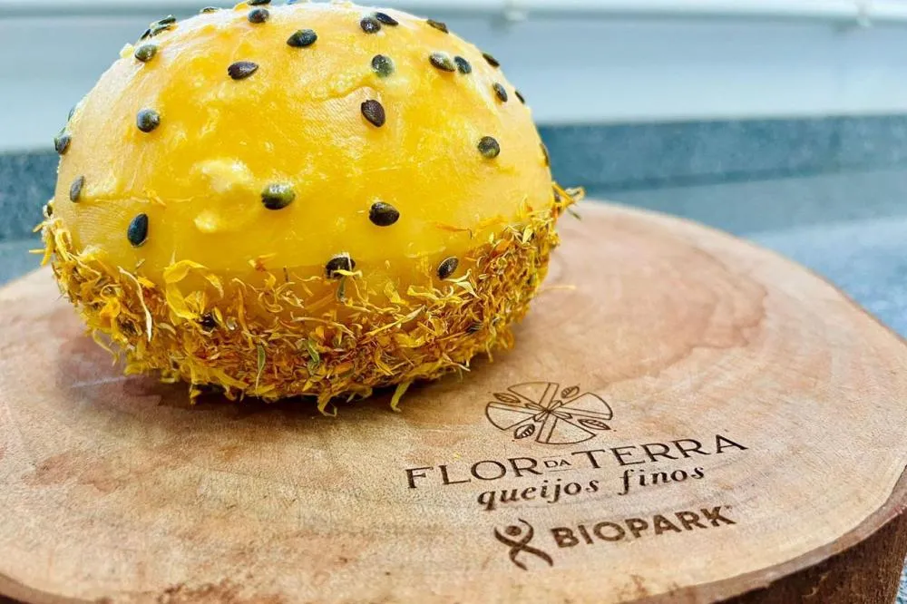 Queijo paranaense produzido na região Oeste está entre os nove melhores do mundo Foto: Divulgação/Biopark