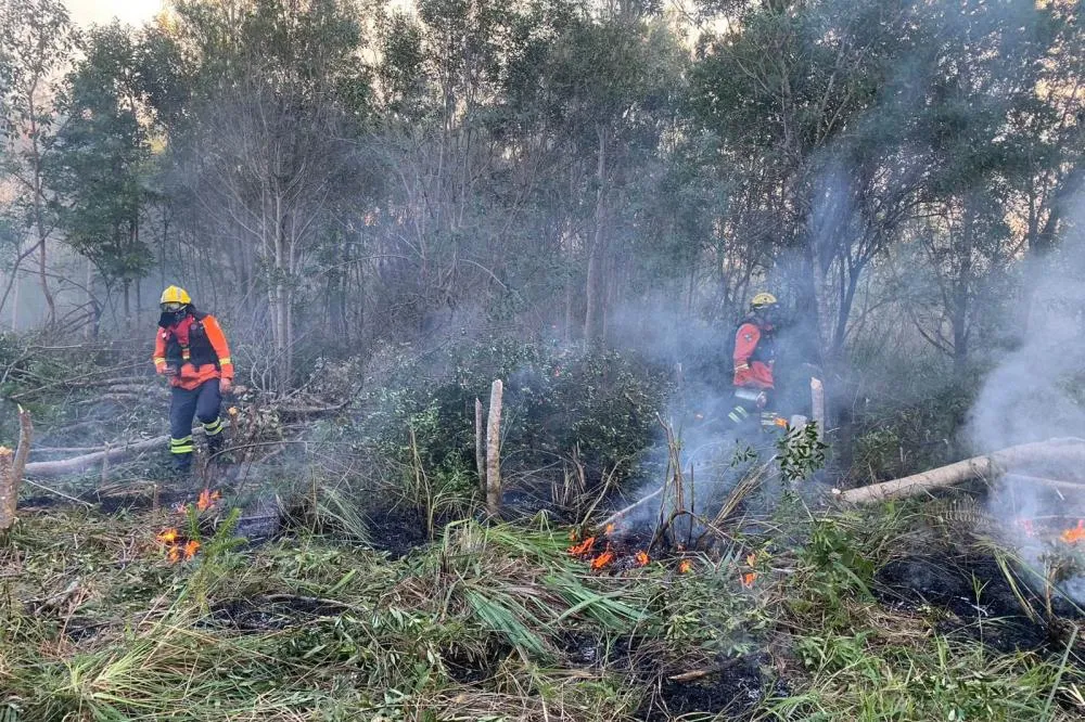 Operação de combate a incêndios florestais termina com o dobro de ocorrências de 2023 Foto: CBMPR
