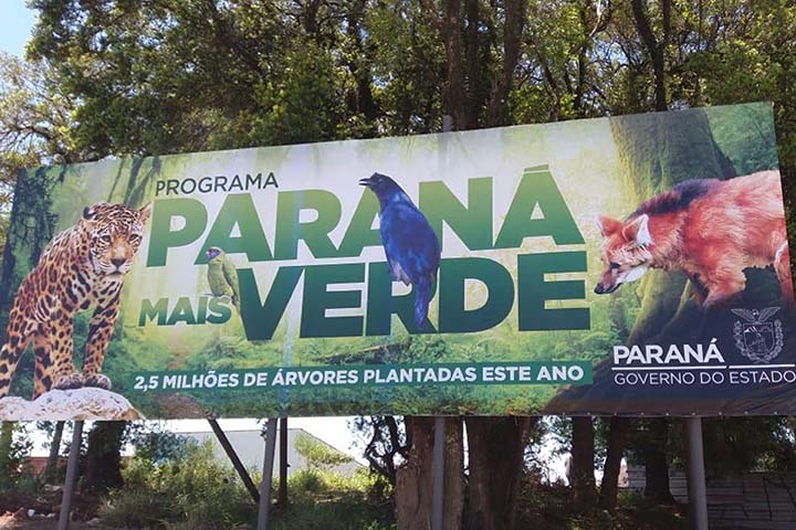 A produção de mudas é feita pelo Instituto Água e Terra (IAT), vinculado à Secretaria de Estado do Desenvolvimento Sustentável e Turismo, que mantém 19 viveiros no Estado.