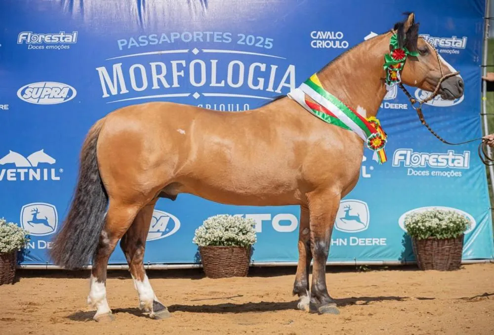 Foto: Fagner Almeida/Divulgação (Ramon 261 Doze Braças)
