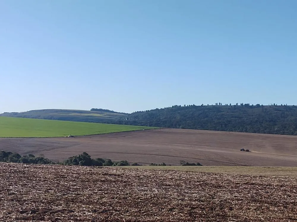 O valor de uma propriedade rural pode ser definido a partir de diferentes metodologias, regulamentadas pela NBR 14653, que estabelece normas claras e técnicas para avaliação de imóveis no Brasil. Foto Toninho Anhaia