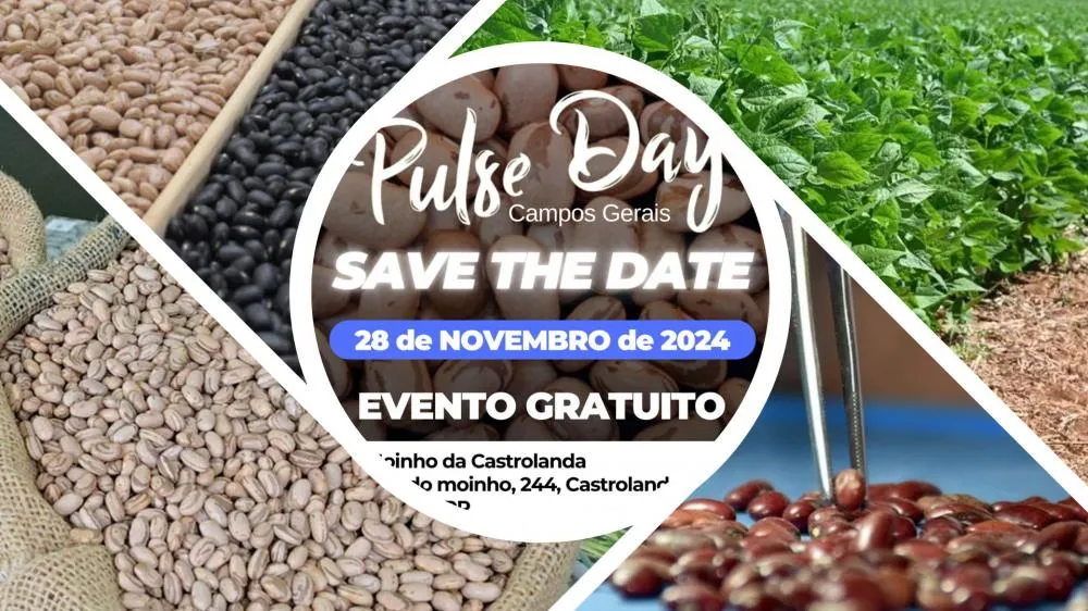 Na quinta-feira, dia 28 de novembro, o Pulse Day Campos Gerais reúne produtores de feijão no Moinho Castrolanda, em Castro (PR), para discutir inovações e tendências do mercado. Das 13h30 às 18h, com entrada gratuita.