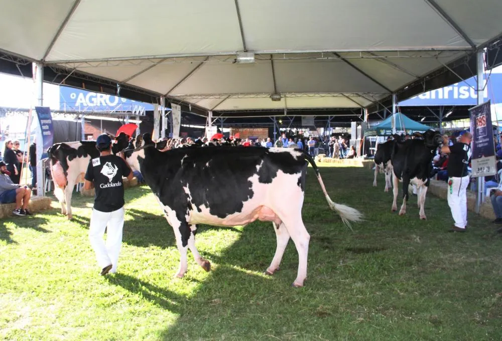 Foto: JM Alvarenga/Divulgação