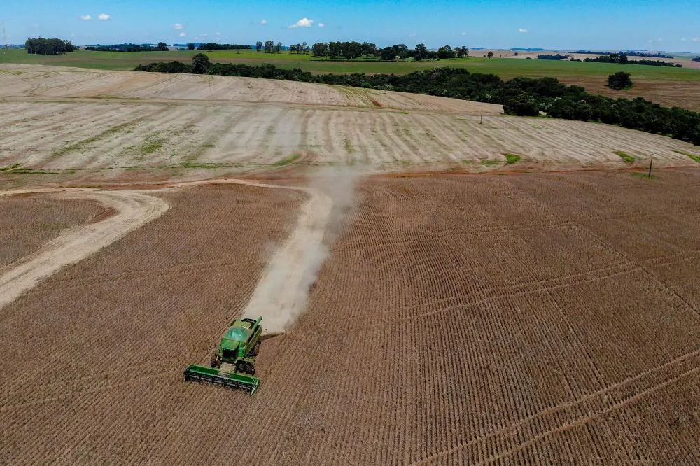 Primeira safra de feijão tem aumento de 55% de área plantada no Paraná Foto: Gilson Abreu/AEN