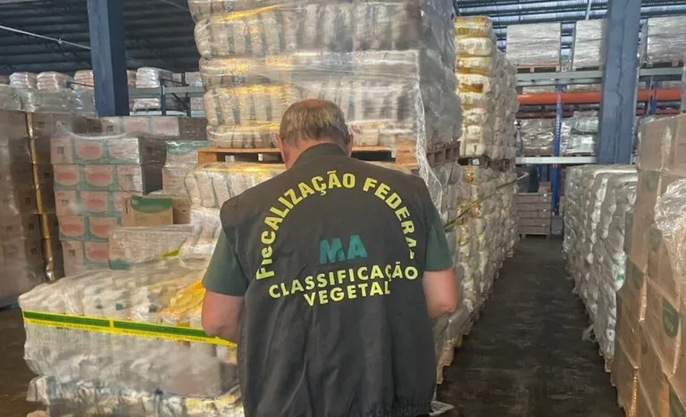 Desta vez ação flagrou 18,7 toneladas de arroz com irregularidades; no início de novembro, 10,5 toneladas haviam sido retiradas de supermercados por disparidade de tipo Foto SFA-SP