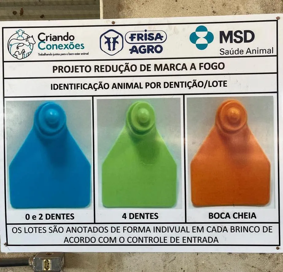 Identificadores visuais da MSD Saúde Animal