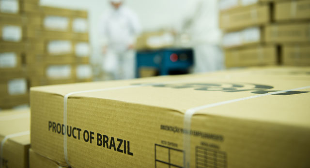 Ao todo, foram exportadas 4,212 milhões de toneladas nos 12 meses do ano, volume 2,8% superior ao registrado ao longo de 2018, com 4,1 milhões de toneladas.