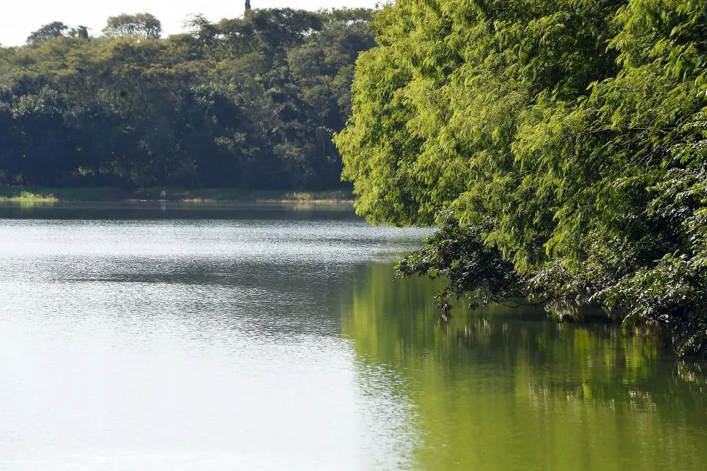 Emissão pelo IAT para outorga do uso da água cresce 42% em 2024 Foto: Denis Ferreira Netto/SEDEST