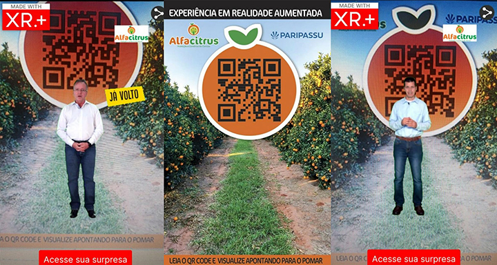 O Brasil é o maior produtor mundial de laranjas e o maior exportador de suco. 