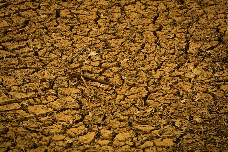 Foto: Wenderson Araujo/ Sistema CNA