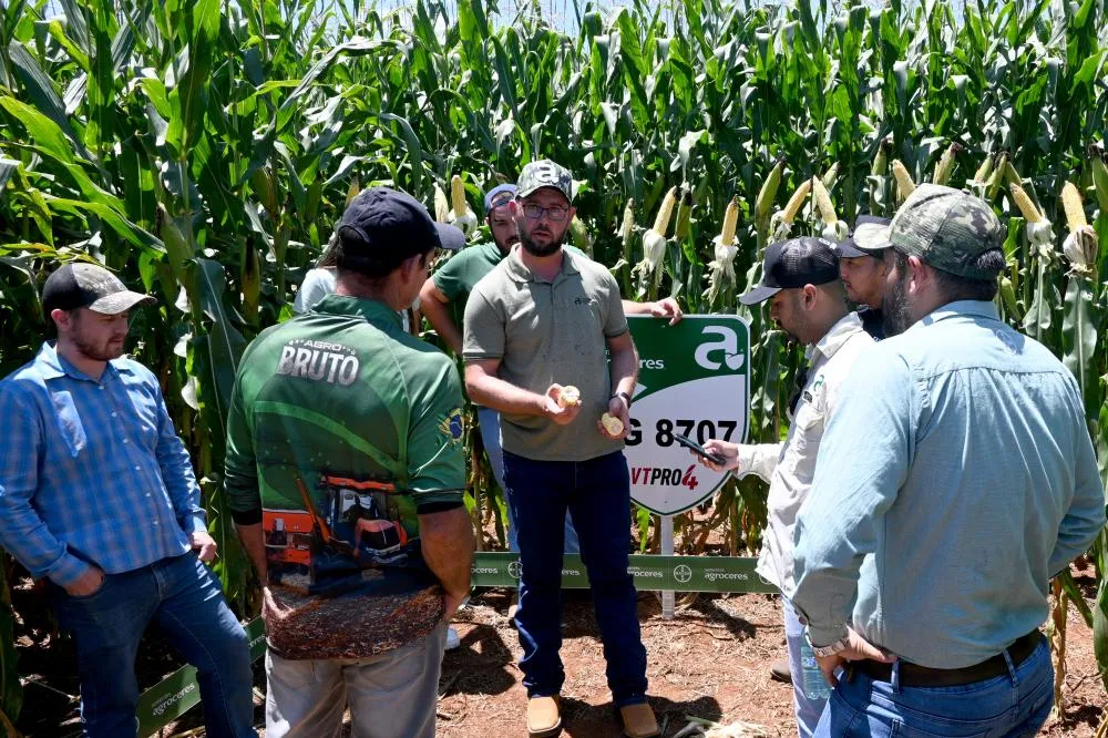 Produtores rurais acompanham de perto as demonstrações de híbridos de milho e tecnologias em fertilizantes durante o 1º Dia de Campo da Agropecuária NSª das Brotas, realizado no Bairro Piraí-Mirim, em Piraí do Sul. Foto Toninho Anhaia.