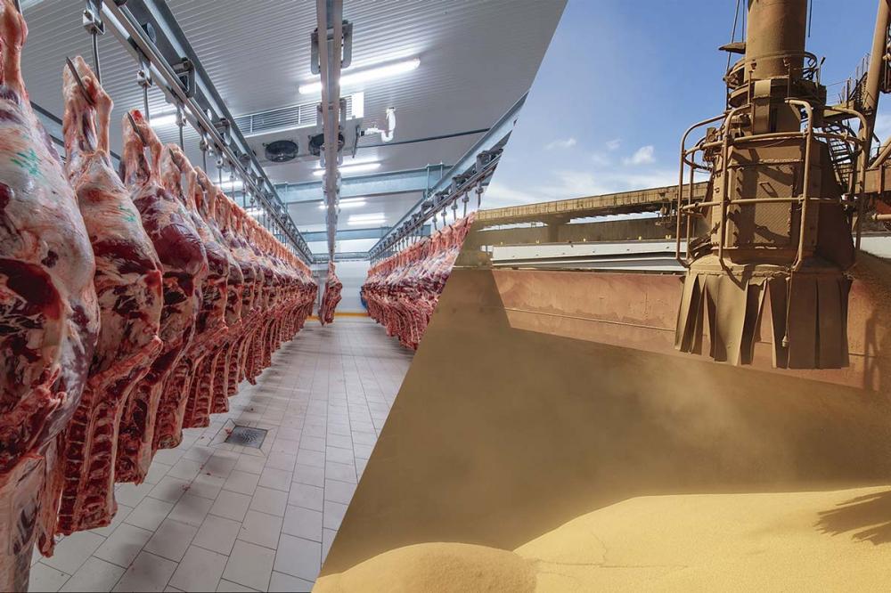 Se esse cenário soa como brisa aos produtores de grãos, para as cadeias de proteína animal – que têm a soja e o milho como importantes insumos – essas perspectivas caem como um vendaval, que traz apreensão e um alerta. 
