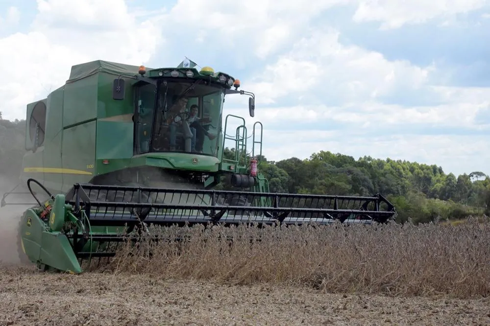 O arroz, o milho e a soja são os três principais produtos deste grupo, que, somados, representam 92,3% da estimativa da produção e respondem por 87,2% da área a ser colhida. Foto Toninho Anhaia