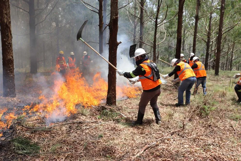 Voluntários podem se inscrever para curso de brigadista florestal Foto: Amie Feitosa/Defesa Civil