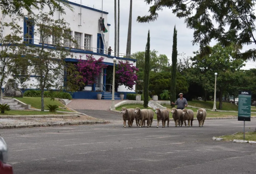 Foto: Gabriel Becco/Divulgação