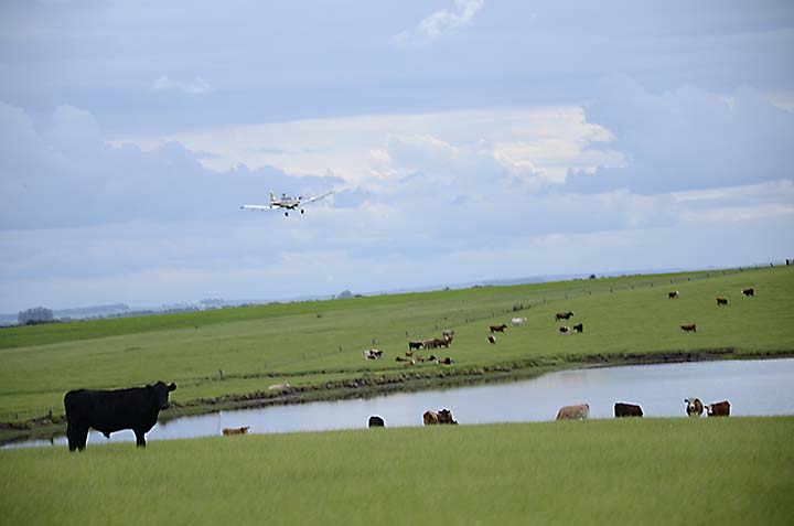 Veja os cuidados antes de comprar uma fazenda. Observar alguns detalhes evitam problemas no futuro. Foto: Trajano Silva Imóveis Rurais/Divulgação