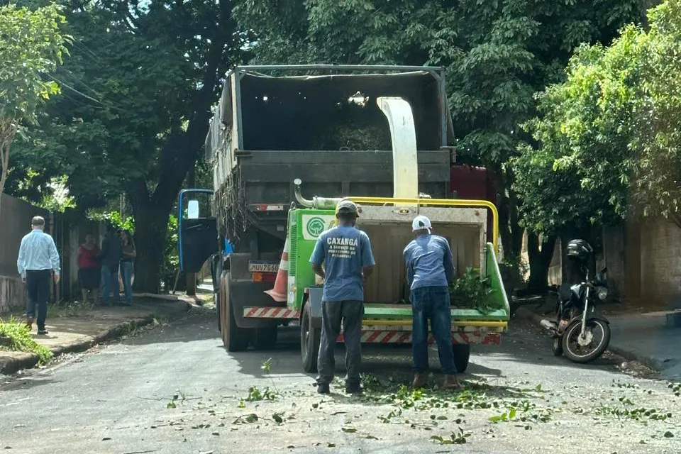 Paranavaí tem nova operação para preservar produção comercial de citros Foto: Câmara Técnica da Citricultura
