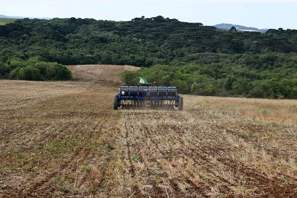 Plano Safra 24/25: produtores rurais terão bonificação nas operações de custeio de práticas sustentáveis. Foto Toninho Anhaia