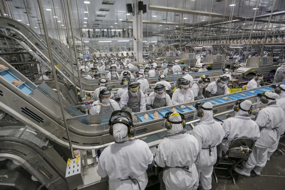 31 mil vagas: indústria do Paraná é segunda que mais gerou empregos em 2024 Foto: Jonathan Campos / AEN