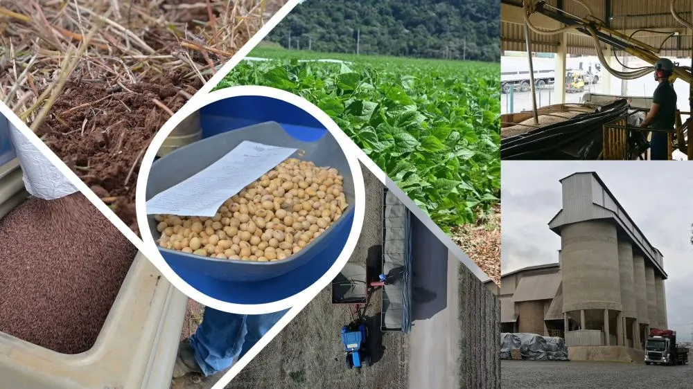 Silos monitorados por sensores automáticos e até mesmo uso de inteligência artificial garantem a qualidade dos grãos armazenados na Cooperativa Capal, fortalecendo a sustentabilidade e a competitividade no agronegócio brasileiro. 