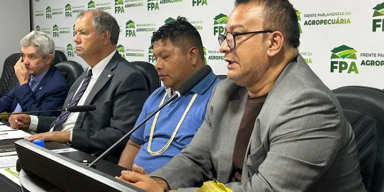 Representantes indígenas destacam a importância de regulamentação simplificada e parcerias para o desenvolvimento sustentável da agricultura nas terras indígenas