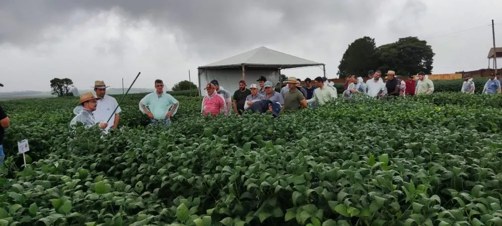 Resultados das pesquisas no campo e experimentos para a produtividade de soja e milho foram apresentados aos cooperados