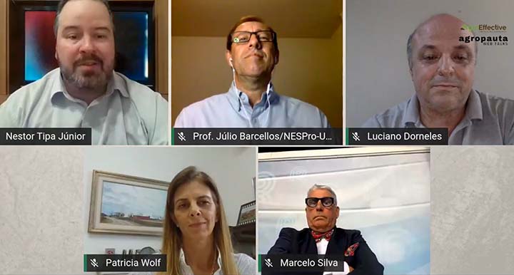 A valorização das raças europeias e sintéticas tem atraído compradores do Brasil Central em busca do trabalho de selecionadores do Sul. 