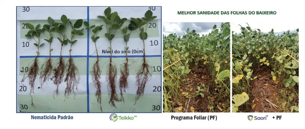  Durante o 28º Show Tecnológico Verão, a PHC apresenta suas inovadoras tecnologias para o controle de doenças foliares e de nematoides na soja