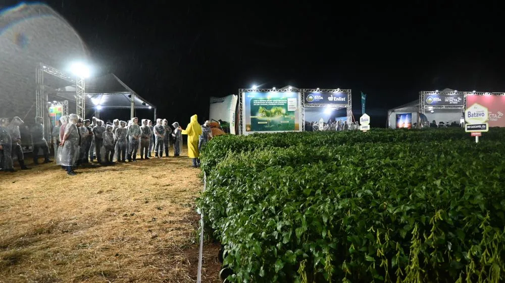 Produtores rurais acompanham a apresentação de novas cultivares de soja durante a Noite da Soja, em Carambeí (PR). Foto: Toninho Anhaia.