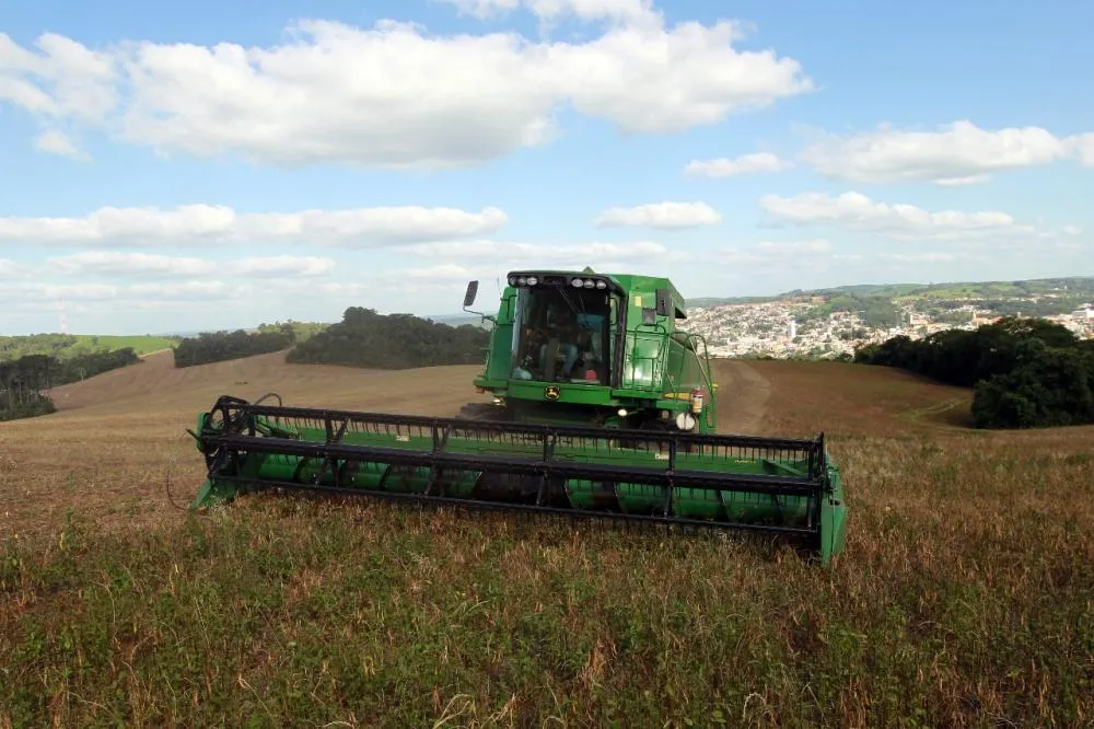 Paraná lidera produção e importação de feijão, e começa a expandir exportação do produto Foto: Gilson Abreu/Arquivo AEN