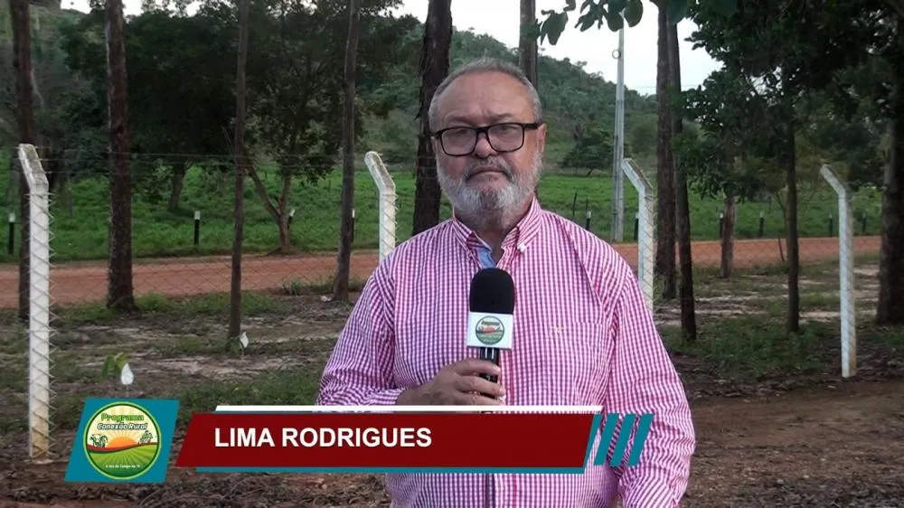 Jornalista Lima Rodrigues