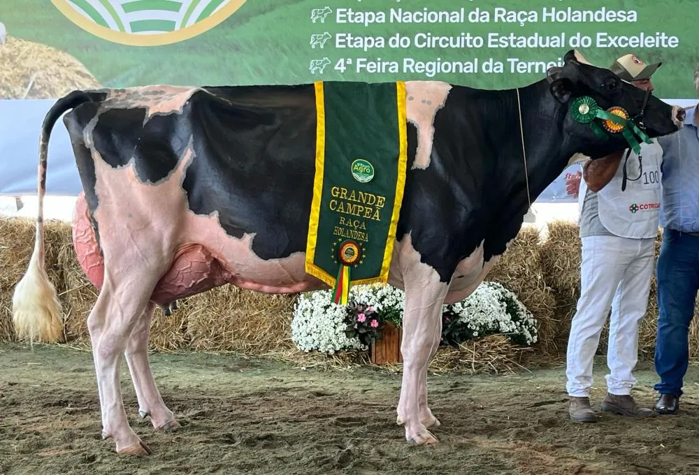 Foto: Gadolando/Divulgação