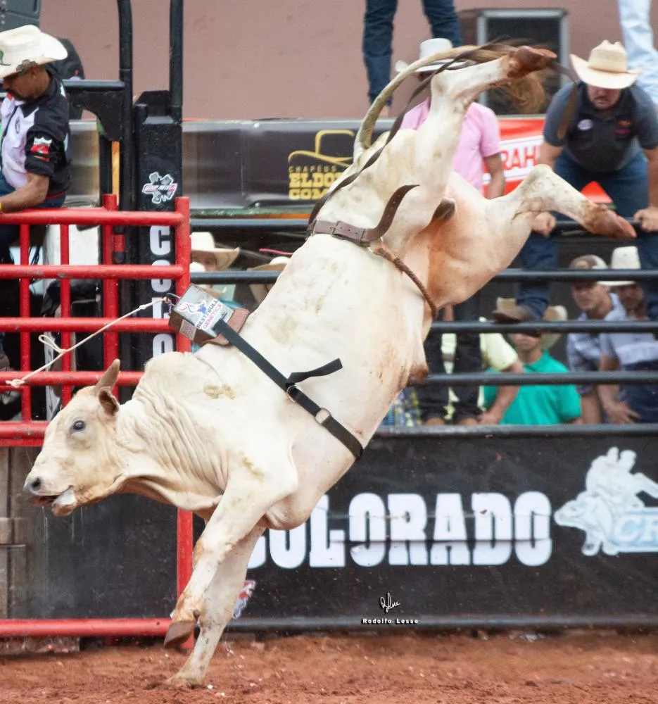 Prova BBG Colorado 2025 (Rodolfo Lesse).