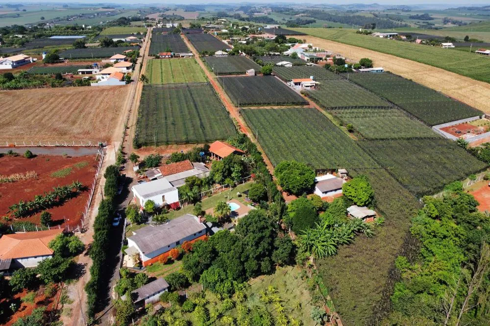 Para cada R$ 1 investido, IDR-Paraná devolve mais de R$ 7 para a sociedade, aponta estudo Foto: Ari Dias/AEN
