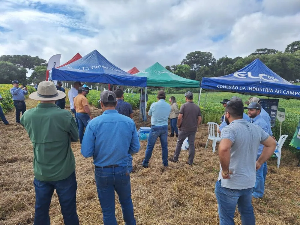 Helpen Castrolanda e Instituto Cristão Mackenzie promovem Dia de Campo de Verão 