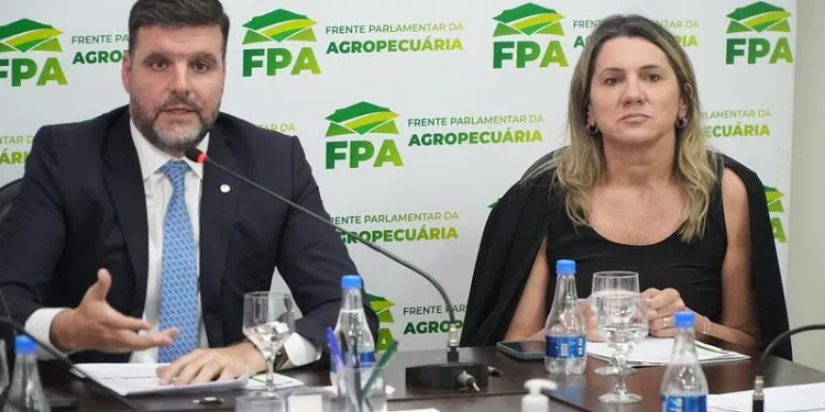 Medidas propõem equilíbrio fiscal ao governo federal e a ampliação do crédito rural