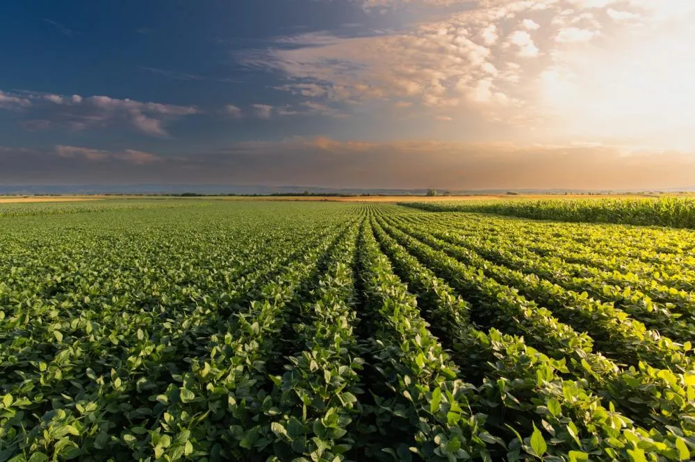 Sistema FAEP e entidades do agro enviam propostas ao Plano Safra 2025/26