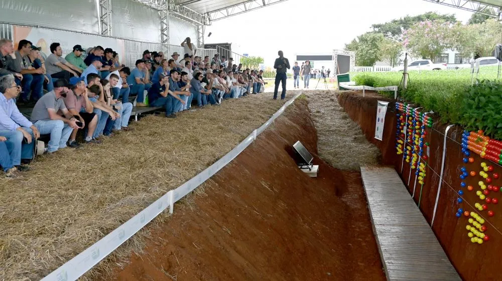 Produtores acompanham de perto a demonstração na trincheira aberta durante o Show Tecnológico Verão, onde foram expostos os impactos do manejo do solo na fertilidade e na retenção de umidade. Foto Toninho Anhaia