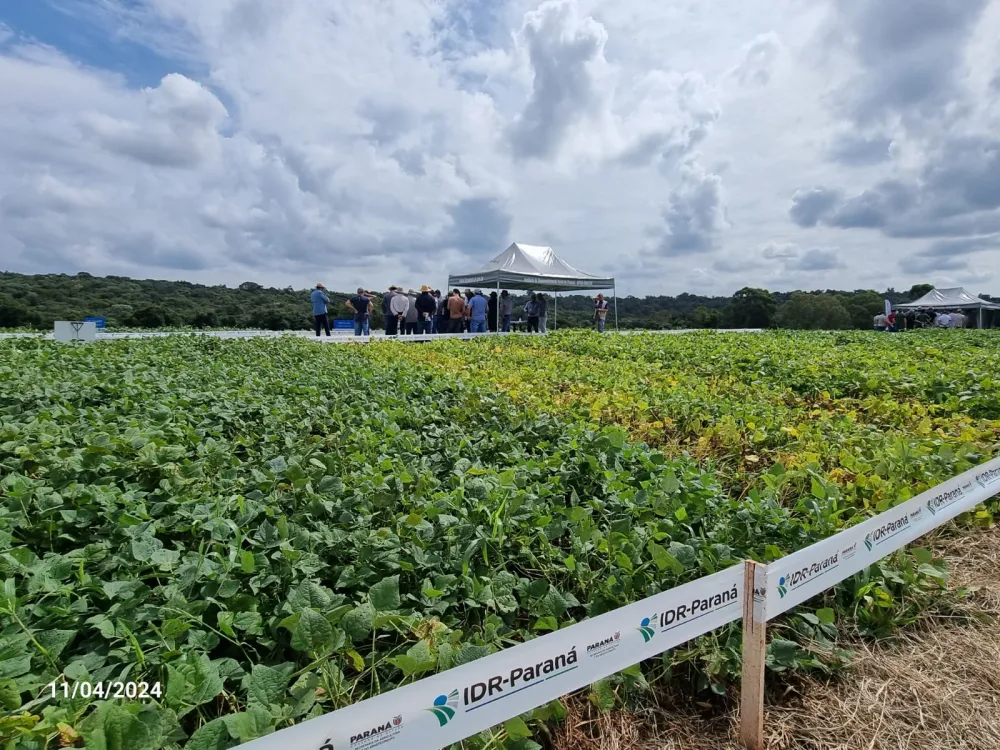 FOTO IDR PARANÁ