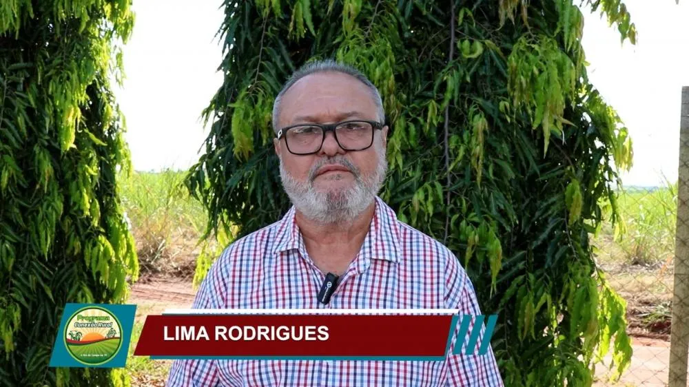 Jornalista Lima Rodrigues