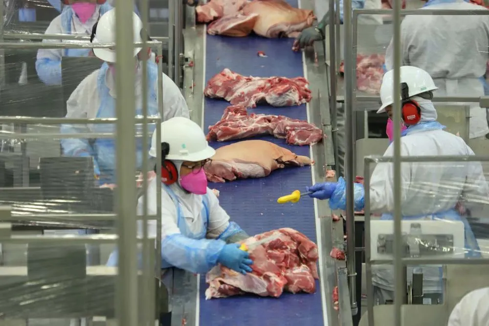 Paraná registra maior salto do País nas contratações femininas no setor industrial de suínos