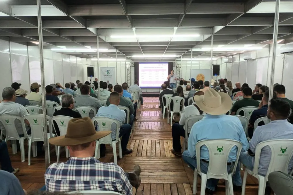 Com união e ações rápidas na citricultura, Paraná mantém combate ao greening Foto: IDR
