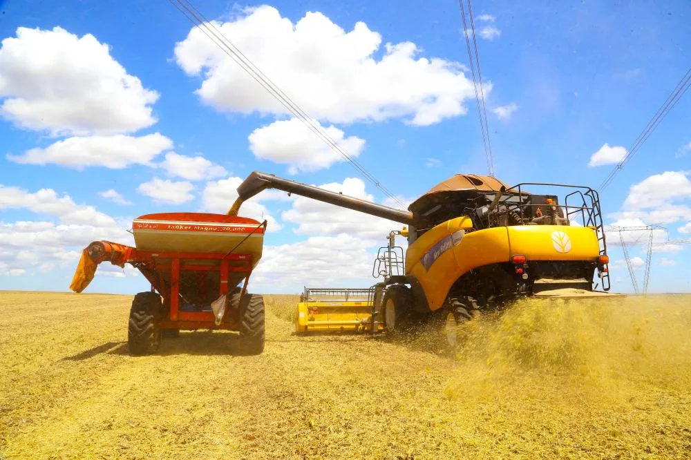 Agricultores já colheram 90% da soja no Paraná e safra deve crescer 14% Foto: Jaelson Lucas/Arquivo AEN